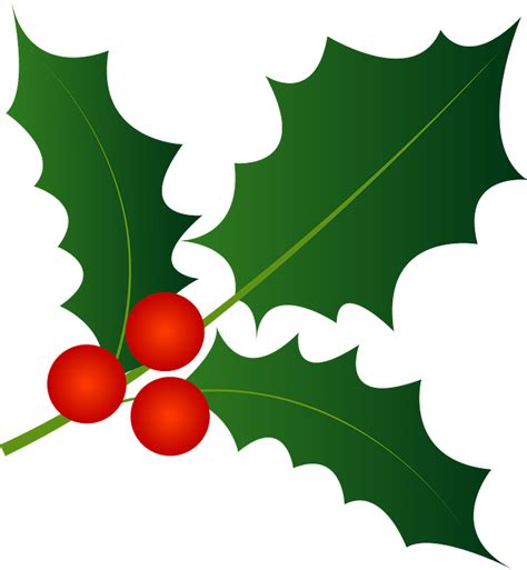 Christmas Holly Clipart Free Download Transparent Png Creazilla