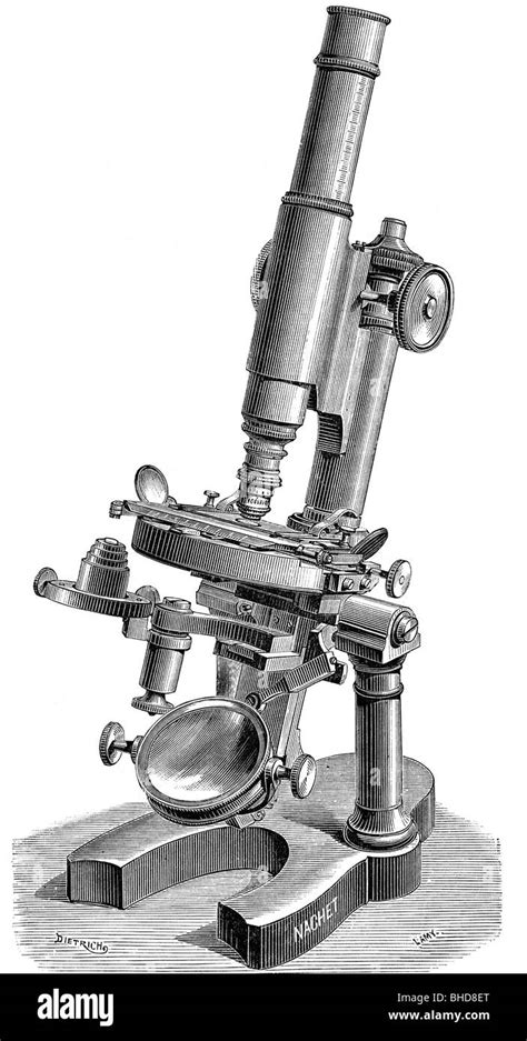 Modern Compound Light Microscope 1886