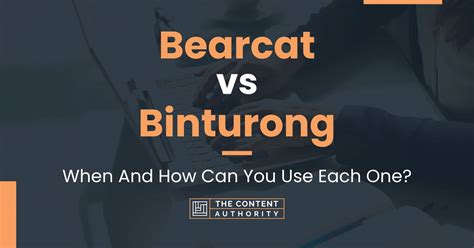 Bearcat Vs Binturong When And How Can You Use Each One