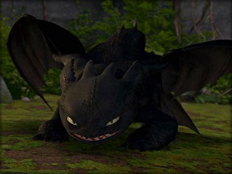 Rage This Is Home Toothless X Dragon Oc