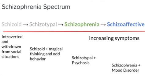 M4b Dissociative Affective Schizophrenia Disorders Flashcards Quizlet