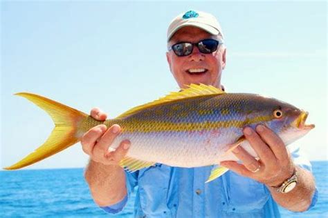 Fishing For Yellowtail Snapper In Key West Fish Key West