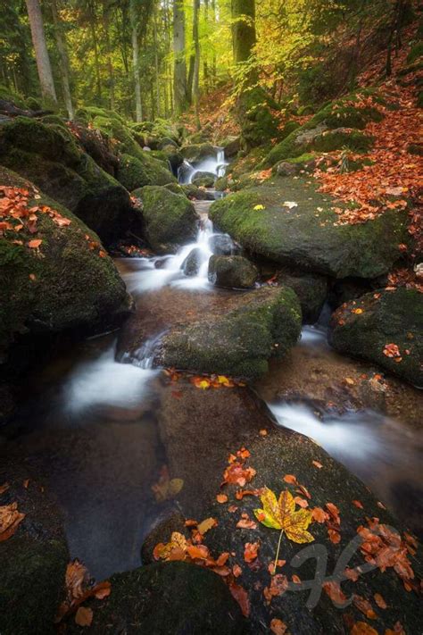 Gertelbach Wasserfälle Heimatfotos