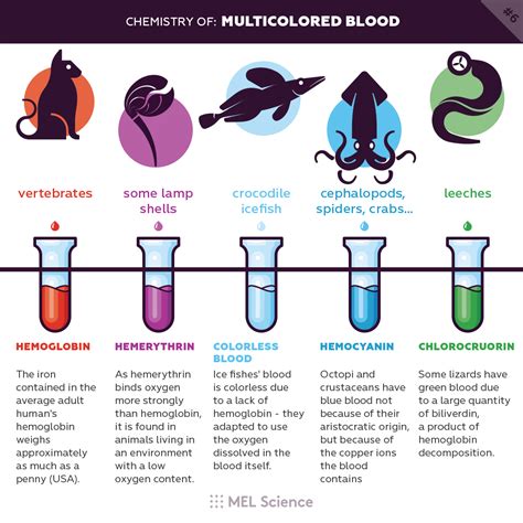 Chemistry Of Multicolored Blood Rchemistry