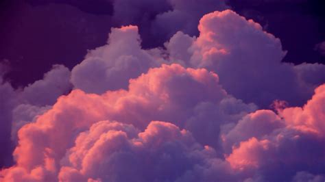 Pink Clouds Background Dove Freedom Clouds Symbol Wallpaper Doves