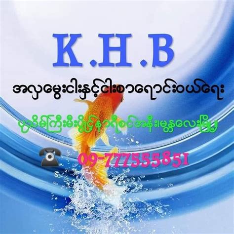 k h b အလွေမြးငါးမ်ိဳးစံု ေရာင္းဝယ္ေရး mandalay