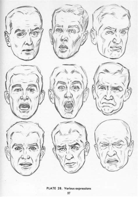 Face Expression Sketches