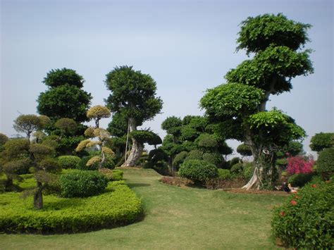 무료 이미지 나무 자연 잔디 맨션 꽃 뒤뜰 식물학 정원 관엽 식물 조경 관목 식물원 재산 중국 마당