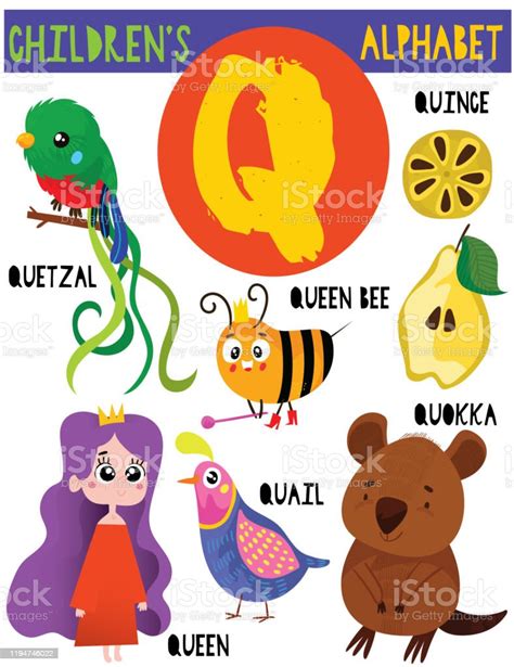 Letter Q Cute Childrens Alphabet With Adorable Animals And Other Things