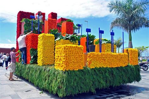 Maybe you would like to learn more about one of these? Free State Madeira Flower Festival all set to bloom - The ...