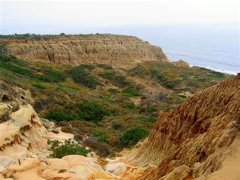 10 Things To Do At Torrey Pines State Natural Reserve