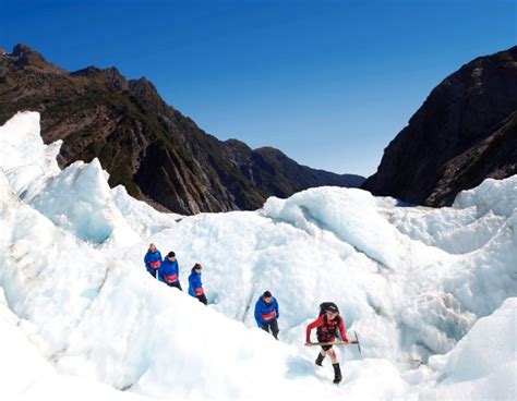 Franz Josef Glacier Helicopter Tours Prices Timings Heli Hikes