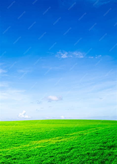 Premium Photo Green Field With Blue Sky