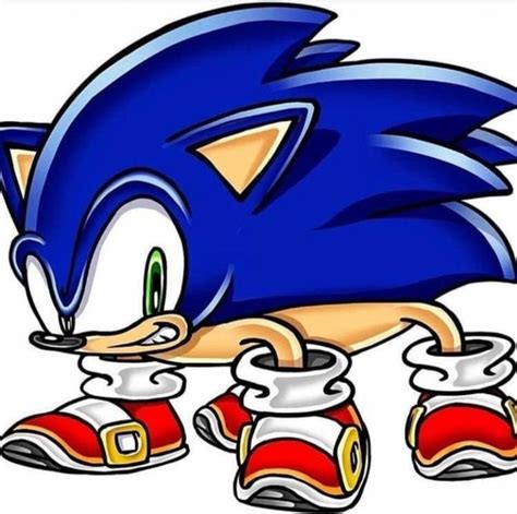 Sonic The Real Hedgehog Rsonicthehedgehog