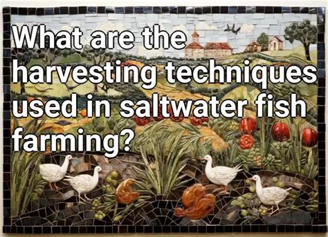 What Are The Harvesting Techniques Used In Saltwater Fish Farming