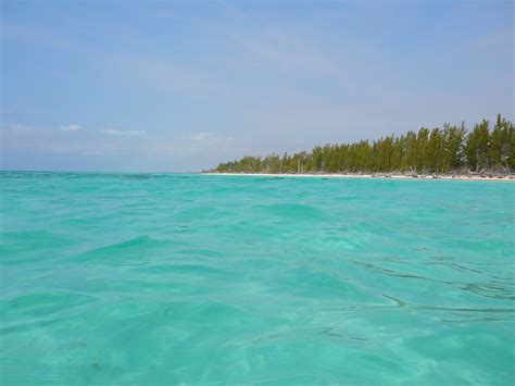Filegold Rock Beach Grand Bahama Island Wikimedia Commons