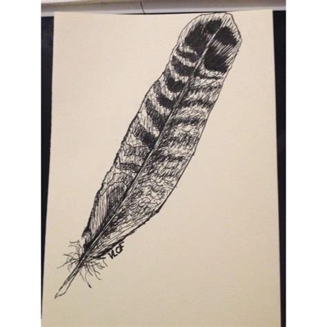 Pheasant Feather Art Drawing Feather Inkdrawing Ink Feather Art