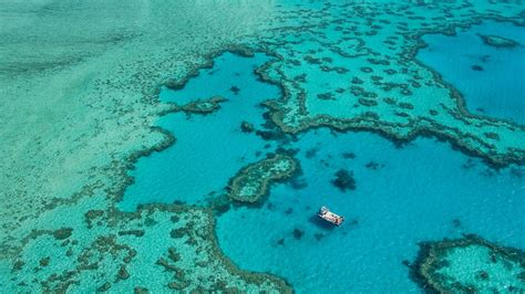 Australia Rejects A Coal Mine Near Great Barrier Reef Due To Risk Of