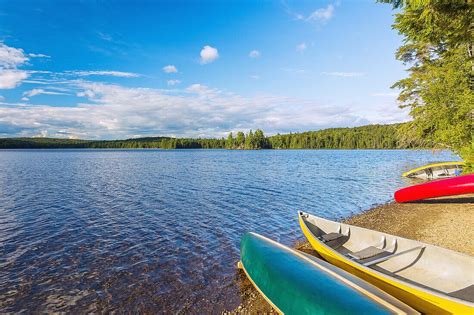 Algonquin Provincial Park Canisbay License Image 71382979 Lookphotos