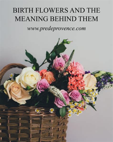 Birth Flowers and the Meaning Behind Them | Mother's day gift baskets gambar png