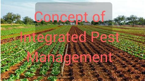 In the formatpicture dialog box, resize or crop the image so that the height is set to 4.74 and the width is set to 3.4. Concept of Integrated Pest Management - MyKnowledgeBase.in