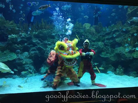 Admission to other programs including sleep with sharks, cage rage, and dive with sharks. GoodyFoodies: Underwater Lion Dance at Aquaria KLCC (CNY 2016)