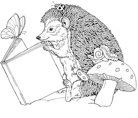 Coloring Page Hedgehog Animals Coloring Pages 3 Animal Coloring