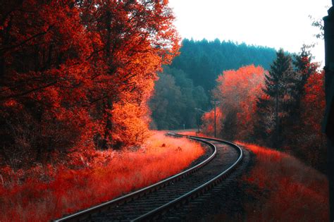 Railway Autumn Forest Hd Nature 4k Wallpapers Images Backgrounds