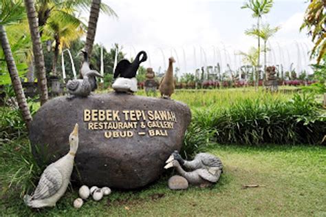 Bebek Tepi Sawah Bali Kemewahan Di Tengah Persawahan