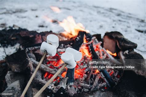 Marshmallows Roast At Campfire High Res Stock Photo Getty Images