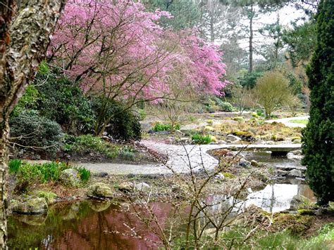 Botanischer garten hamburg in klein flottbek 10 jahre hat es gedauert, bis der botanische garten in klein flottbek im jahre 1979 eröffnet werden konnte. SUP Hamburg GRABOFFSKY: Botanischer Garten Klein Flottbek ...