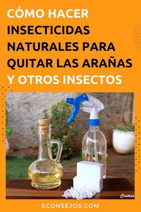 Insecticidas Naturales Para Eliminar Los Insectos Insecticidas