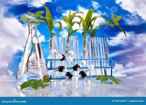 Science Experiment With Plant Laboratory Stock Image Image Of