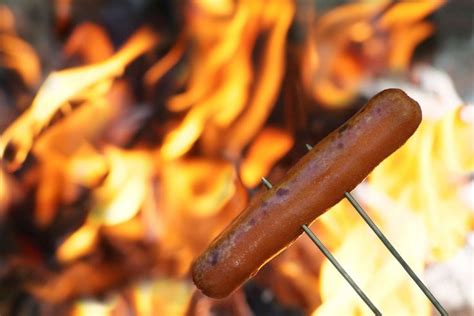 How To Roast Hot Dogs On A Campfire Backyard Camping Parties