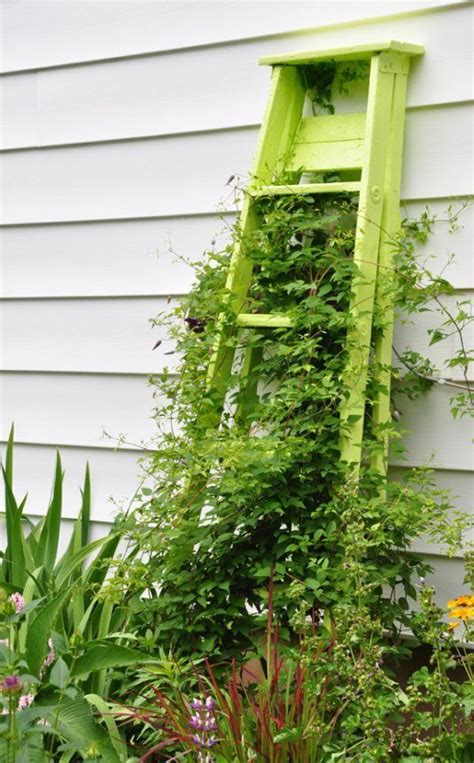 30 Diy Trellis Ideas For Your Beautiful Garden Garden Ladder