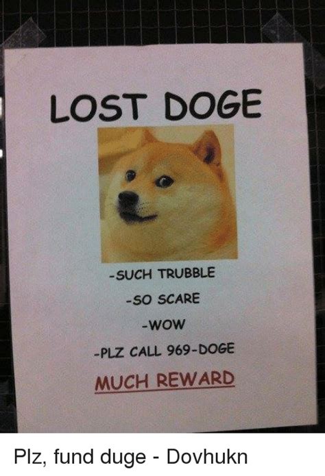 Lost Doge Such Trubble So Scare Wow Plz Call 969 Doge Much Reward Plz