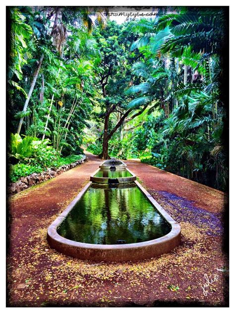 Hawaii Thru My Eyes Allerton Gardens Koloa Kauai Hawaii 2016 Iphone