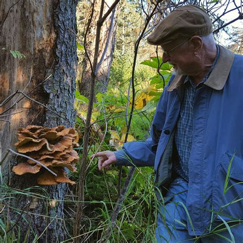 Mushroom Hunting Brings Risks And Rewards Alaska Public Media