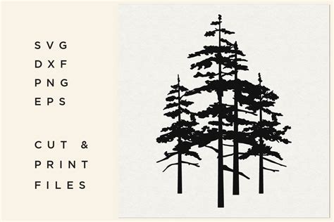 Pine Tree SVG Trees Vector Forest Trees Silhouette 480260 Cut