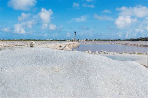 The Carnevale Network History Of The Salt Industry In The Turks And