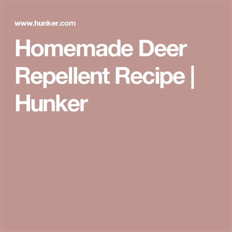 Homemade Deer Repellent Recipe Hunker Japanese Beetles Deer