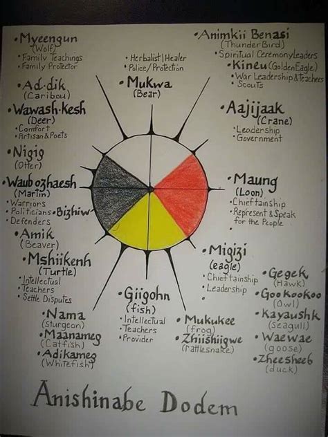 Anishinaabe Clan Teachings From A Fb Friend Native American