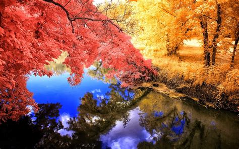 Nature Landscape Fall Colorful Grass Trees Lake Reflection Calm