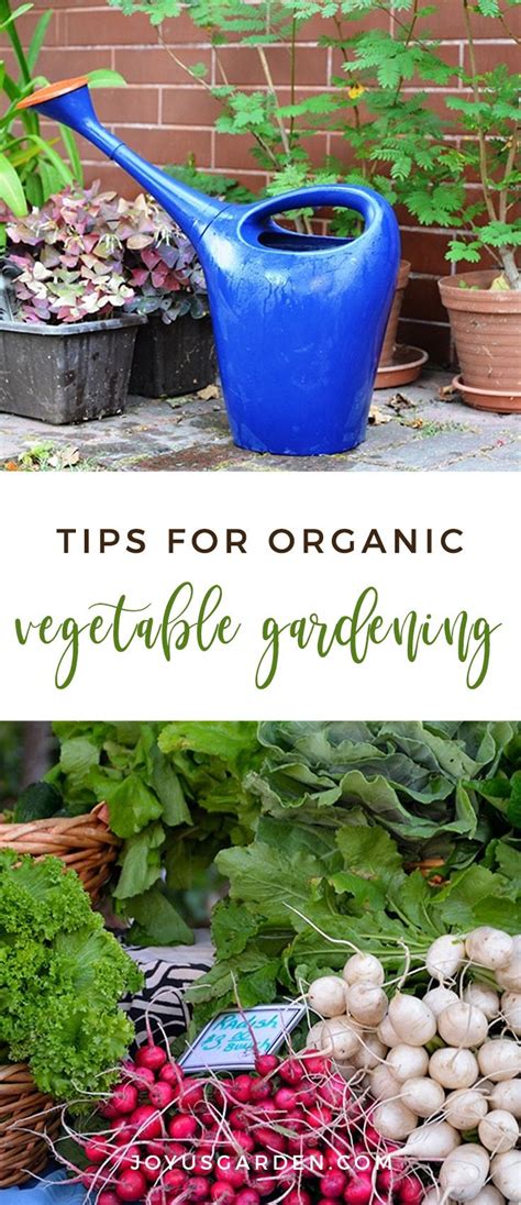 The Best Tips On Organic Vegetable Gardening Joy Us Garden Organic