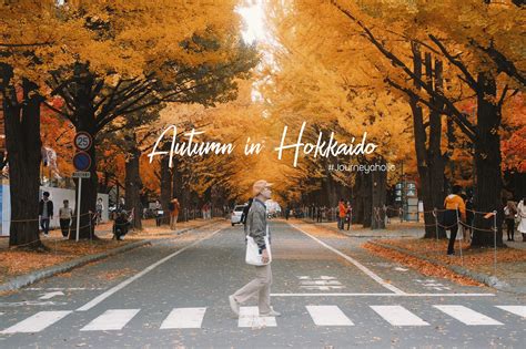 Autumn In Hokkaido พาแฟนเที่ยวญี่ปุ่น 5 วัน ทริปบอกลากันท่ามกลางใบไม้