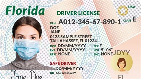 State Drivers Licenses Drivers License By State Usa Driving Licenses