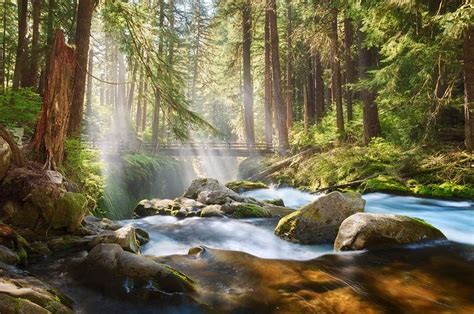 Sol Duc River In 2021 Olympic National Park Washington Olympic