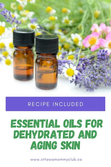 Essential Oils Recipe For Dehydrated And Aging Skin Omc
