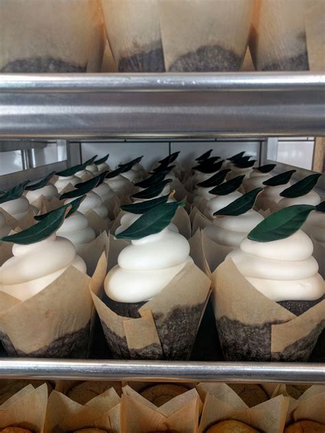 Joanna Gaines Has The Most Mesmerizing Cupcake Frosting Method In 2020 Cupcake Frosting Silos