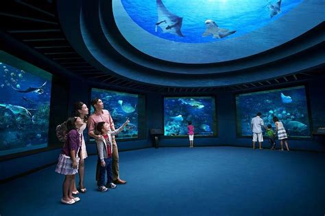 Sea Aquarium Sentosa Island All You Need To Know Before You Go